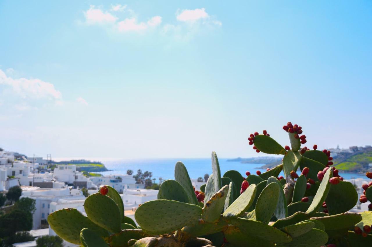Amperian Mykonos & Hotel